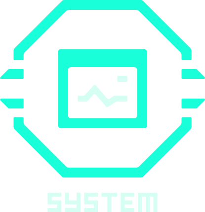 system